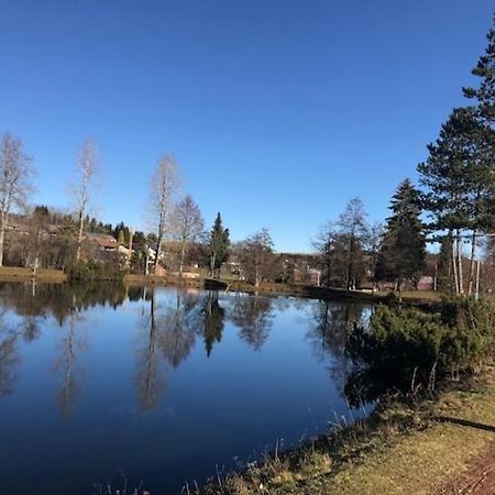 Schoene Ferienwohnung Im Suedschwarzwald Herrischried Екстериор снимка