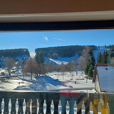Schoene Ferienwohnung Im Suedschwarzwald Herrischried Екстериор снимка