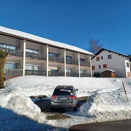 Schoene Ferienwohnung Im Suedschwarzwald Herrischried Екстериор снимка